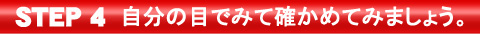 自分の目でみて確かめてみましょう。