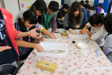 スルメイカの解剖（理科実験教室）の様子