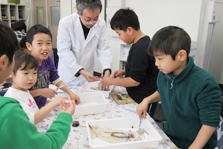 スルメイカの解剖（理科実験教室）の様子