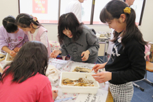 スルメイカの解剖（理科実験教室）の様子