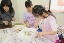 スルメイカの解剖（理科実験教室）の様子